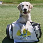 Avalon attending a CCI charity golf game at 6 months.