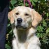 Ruby Jean (white female) 9 mos