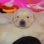 Eyes peeking open Day 15
