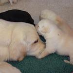 Meeting Auntie Tassel Day 20

