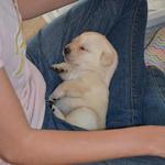 With visitor Madeleine at 3.5 weeks
