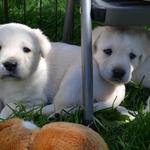 First day outside 4.5 weeks
