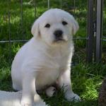 Dario at 5 weeks