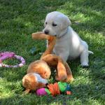 More TOYS from G'ma Florence, thank you!