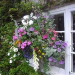 Gorgeous flower baskets in Bath, England (2009)