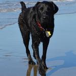Kate at Dillon Beach the first time
