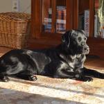 Kate on 2nd birthday napping in the sun
